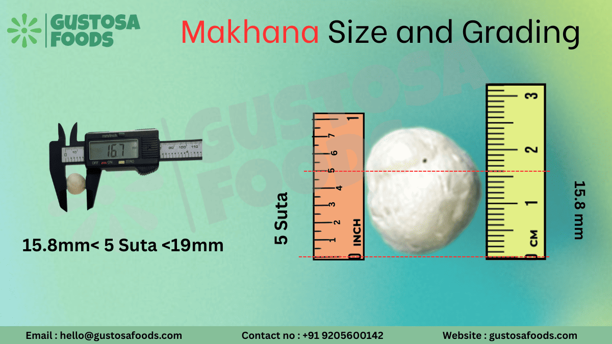 5 suta makhana size comparison between medium and premium grades
