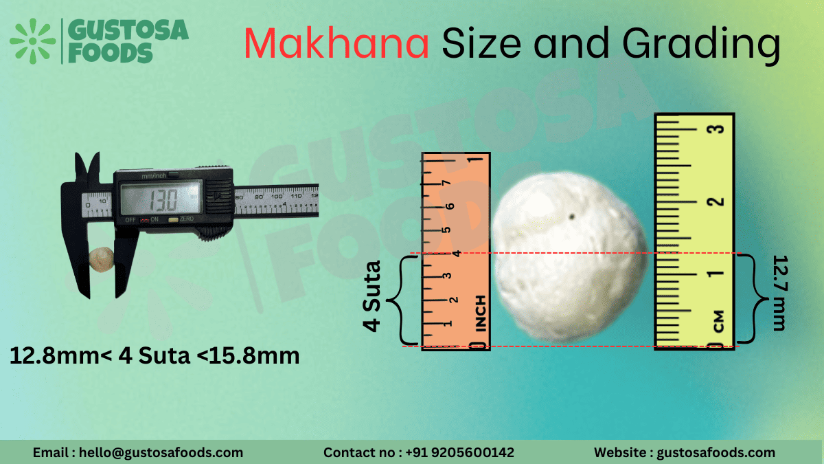 4 suta makhana size showing medium-grade fox nuts in the sutta grading system